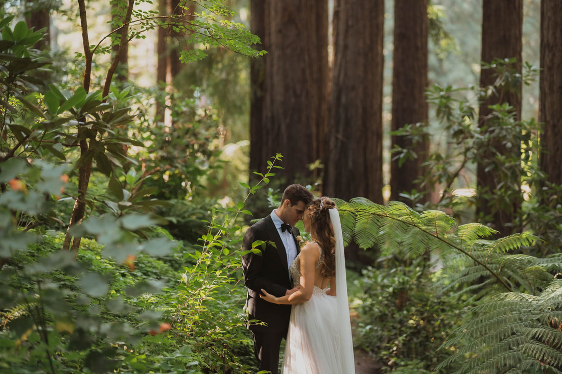 Bride and Groom on their wedding day in the redwoods at Nestldown Los Gatos