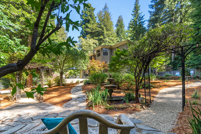 Garden backyard in the forest real estate photography.