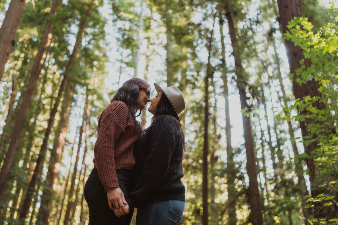 Couple in Henry Cowell State Park engagement session