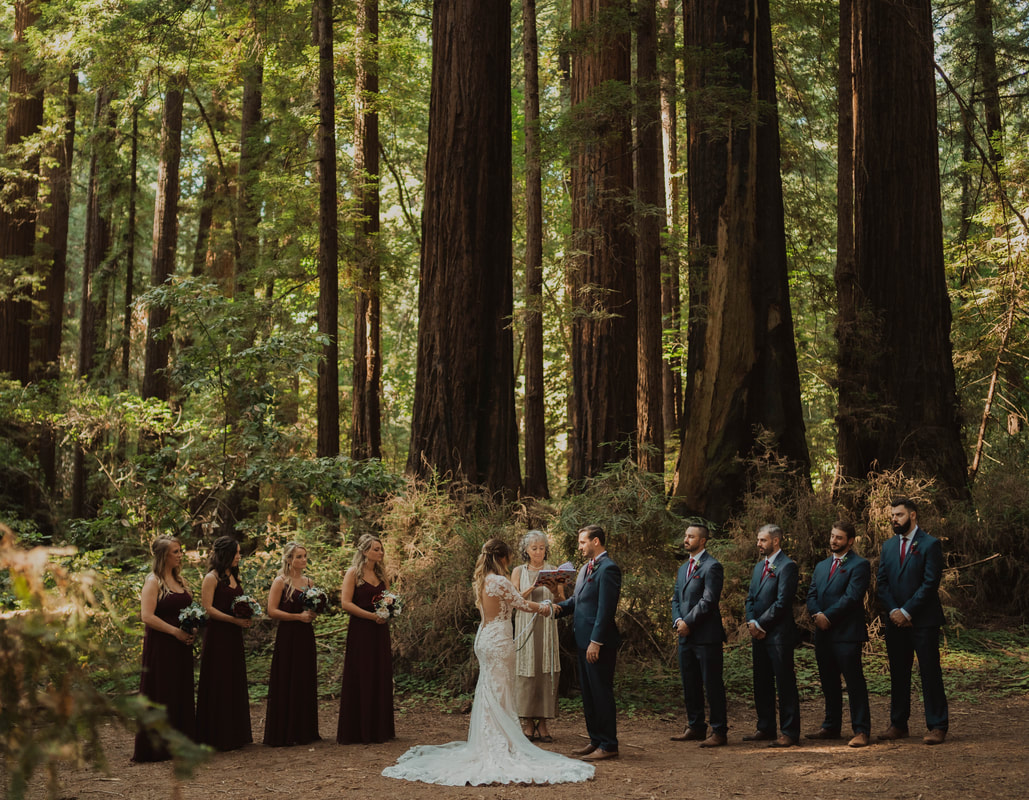 Henry Cowell elopement in redwoods